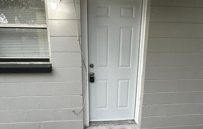 10011 N 14th St A/B Tampa, FL 33612