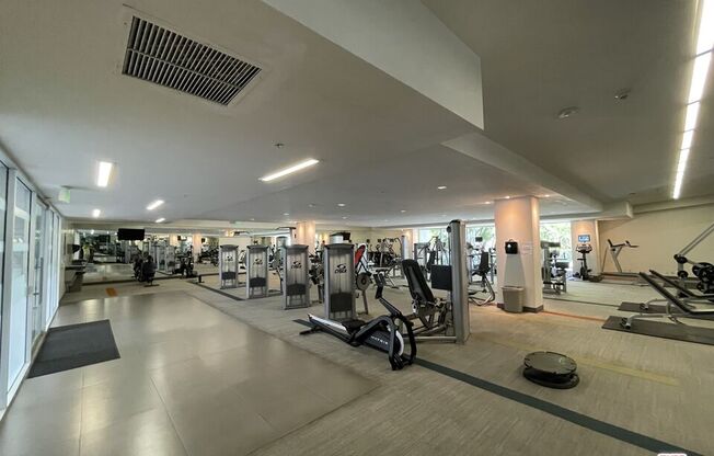 1 bed, 2 baths, 1,130 sqft, $2,800, Unit 235