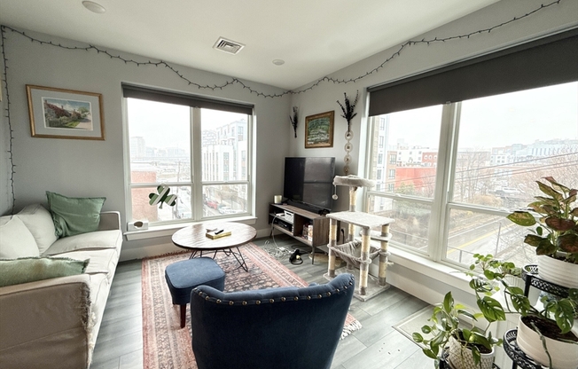 1 bed, 1 bath, 640 sqft, $3,395, Unit 310