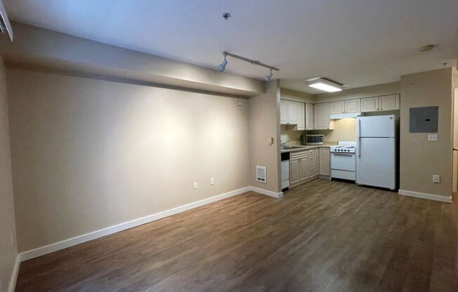 Studio, 1 bath, 413 sqft, $1,150, Unit 307