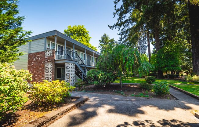 Peaceful Living Beneath the Fir Trees