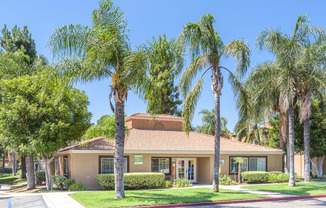 a house with palm trees in front of it