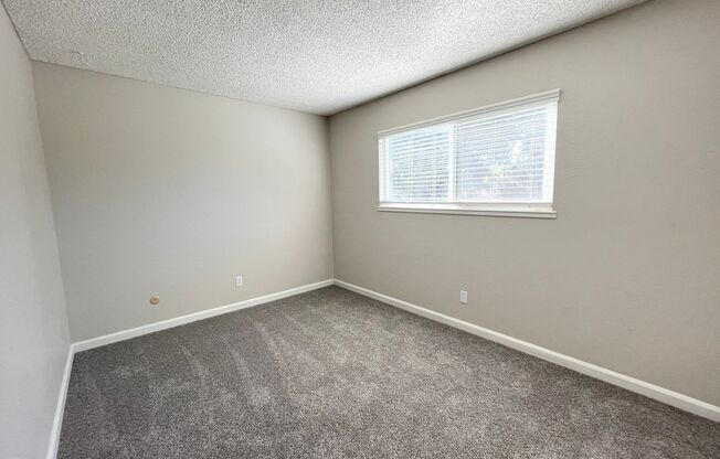 1 bed, 1 bath, $1,495, Unit 14