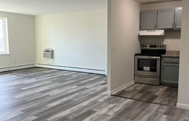 1 bed, 1 bath, $1,425, Unit 301