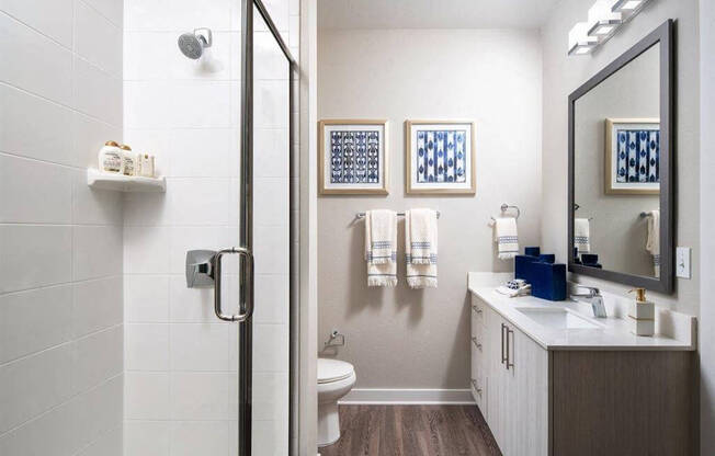Enclosed glass shower and quartz countertops