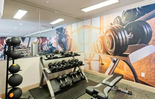 Fitness Center free weights at Sugarloaf Crossing Apartments, Lawrenceville GA 30046