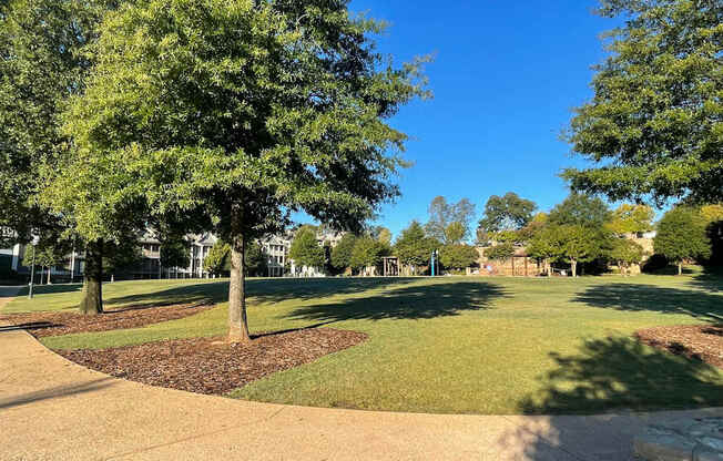 A park with a large tree in the center and a grassy area.