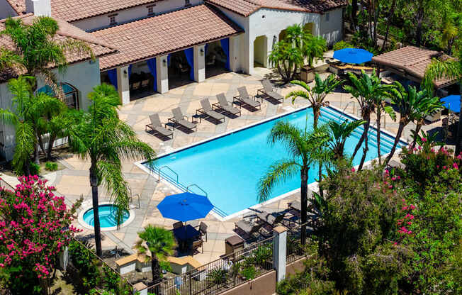 A pool surrounded by palm trees and umbrellas.