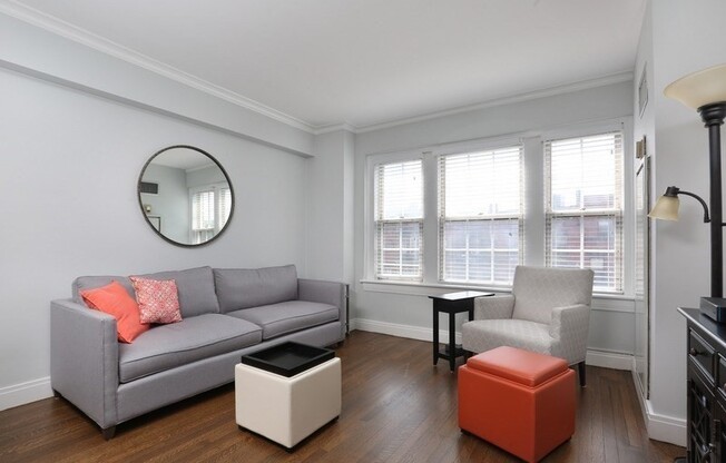 1 bed, 1 bath, 508 sqft, $3,300, Unit 501
