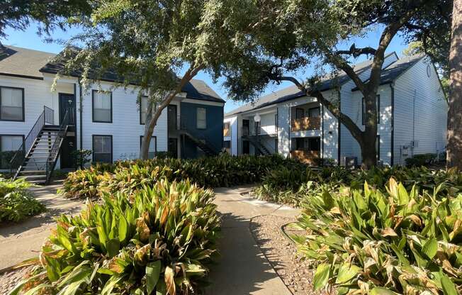 a path leads through a garden in front of a row of houses  at 2151 Kirkwood, Texas