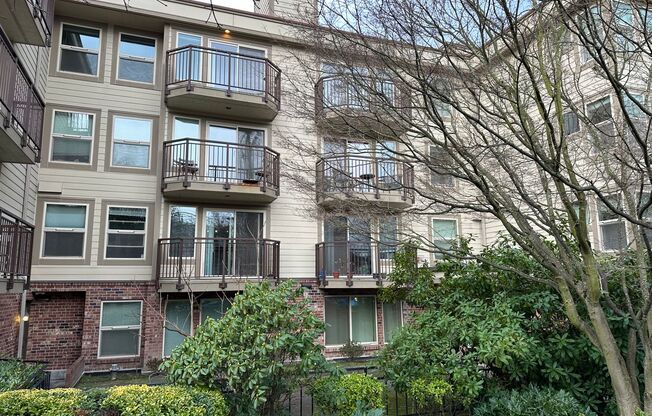 Quiet Updated South Queen 1bd 1bath Condo for Rent!