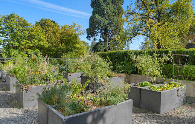 a group of concrete boxes with plants in a garden