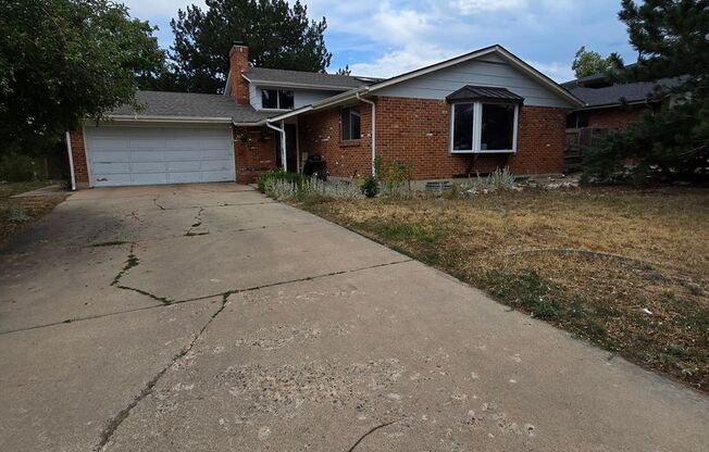 5 bedroom Tri Level Home with Basement in East Boulder