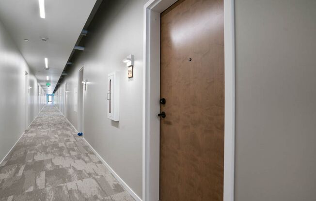 Studio, 1 bath, 447 sqft, $1,225, Unit 215
