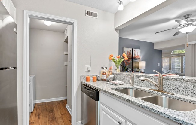 Double Sink With Integrated Sprayer at Regency Place, Raleigh