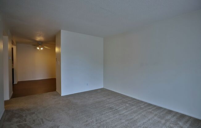 1 bed, 1 bath, 800 sqft, $850, Unit 1420 West Glen Avenue Apt 210