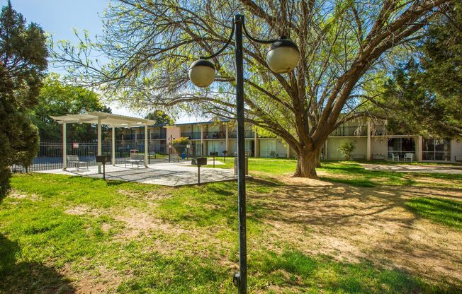 Studio, 1 bath, 331 sqft, $799, Unit 264
