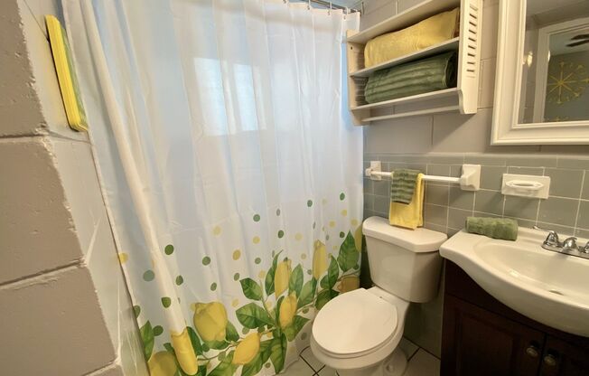 1 bed, 1 bath, $900