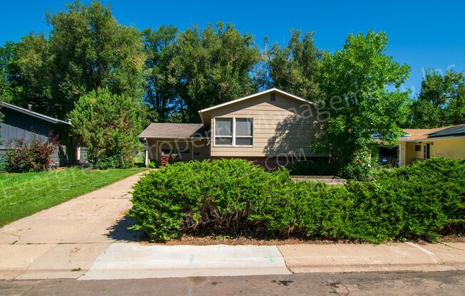 Great 4 bedroom in Fort Collins!