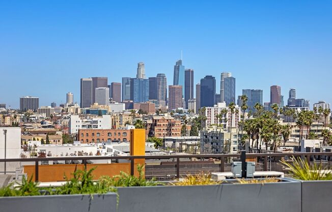 1 bed, 1 bath, 584 sqft, $2,350, Unit 312