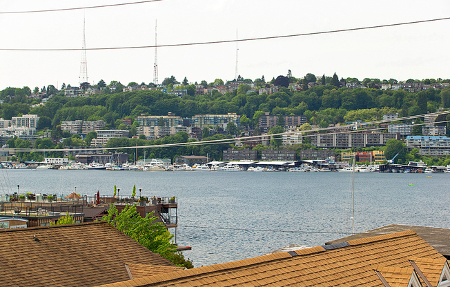 1 bed, 1 bath, 435 sqft, $2,088, Unit 301