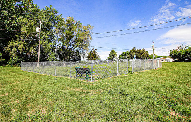 a bench sitting in the middle of a lush green field