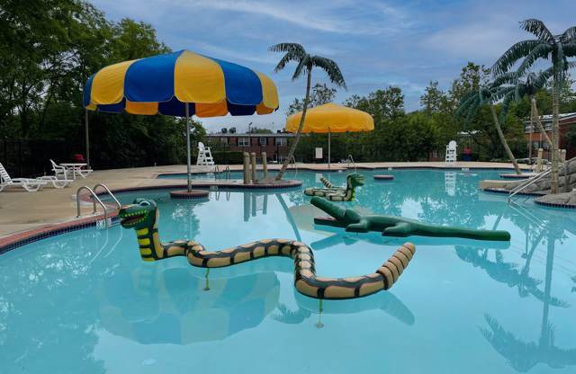 A pool with a blue and yellow umbrella and a green inflatable.