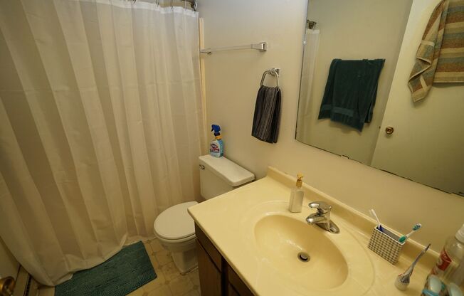 Studio, 1 bath, $800, Unit 4