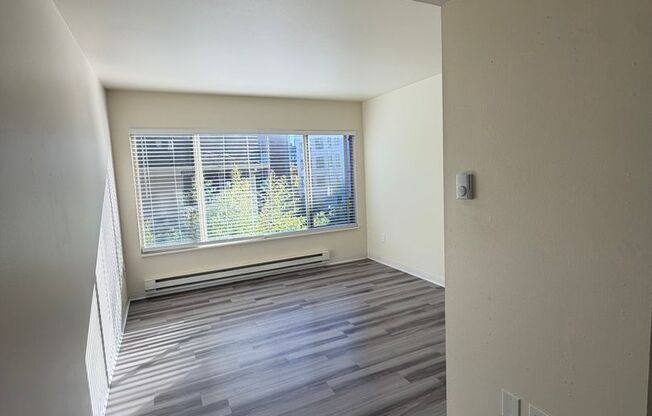 Studio, 1 bath, 400 sqft, $1,195, Unit 206