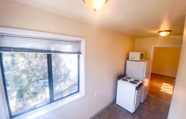 Studio, 1 bath, 390 sqft, $1,150, Unit 10