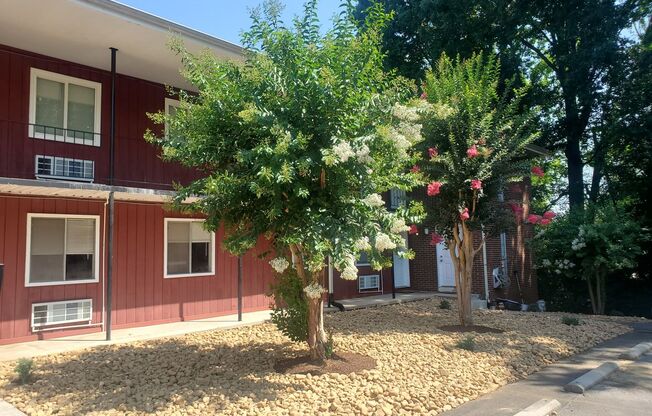 "Bright & Spacious 1BR/1BA with Open Concept – Perfect for UT Students"