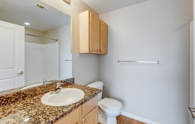 a bathroom with a sink and toilet and a mirror