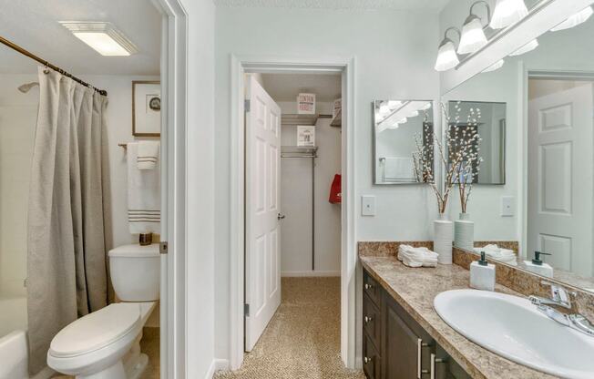 Bathroom with sink and cabinets looking into separate room with tub shower and toilet and walk in closet