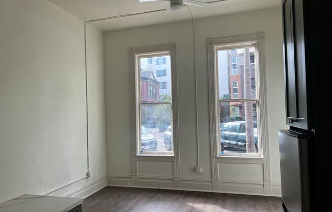 Studio, 1 bath, 166 sqft, $1,600, Unit 102