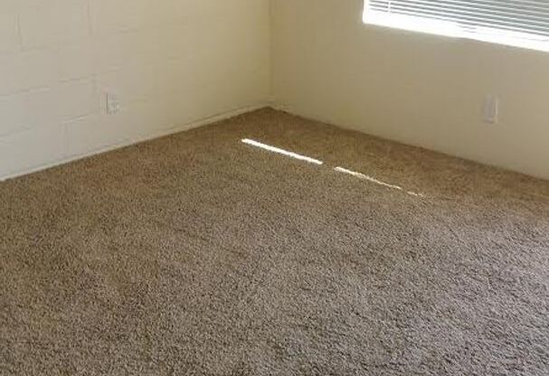 1 bed, 1 bath, 450 sqft, $1,195, Unit 113