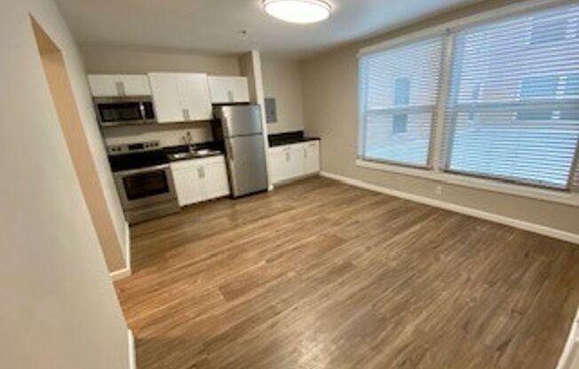 1 bed, 1 bath, 420 sqft, $1,350, Unit 313