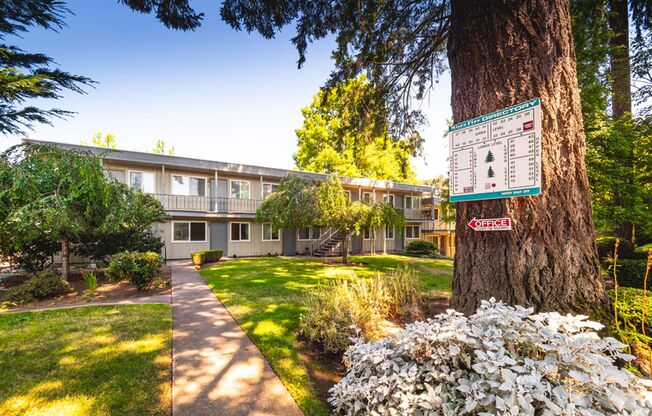 Peaceful Living Beneath the Fir Trees