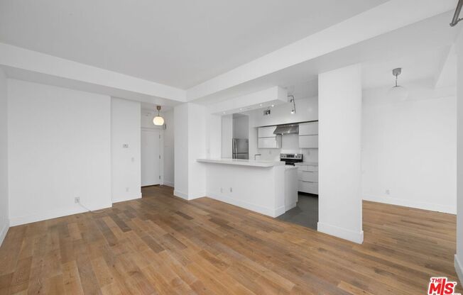 Studio, 1 bath, 536 sqft, $2,850, Unit 511
