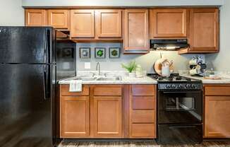 Fully-Equipped apartment Kitchen