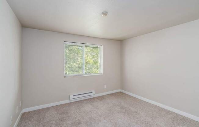 Primary bedroom with natural light at Quartz Creek Apartments in Mountlake Terrace, WA