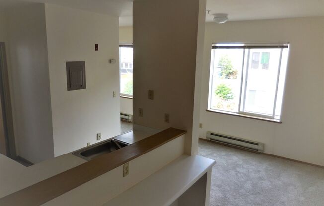 Studio, 1 bath, 462 sqft, $1,295, Unit 225