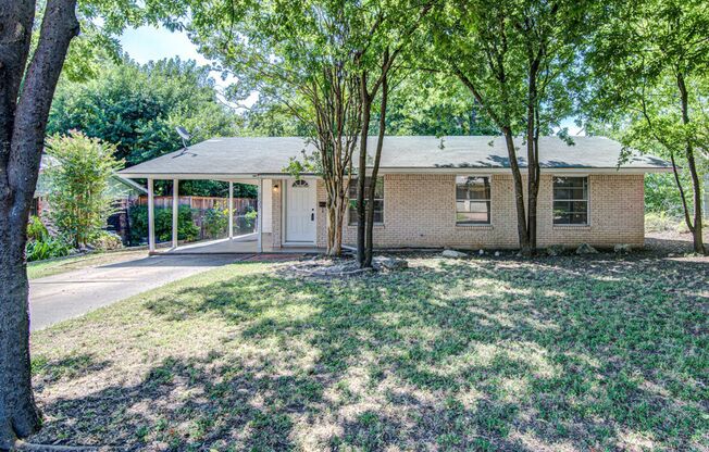 Stylish North Austin Home with Modern Upgrades & Outdoor Oasis