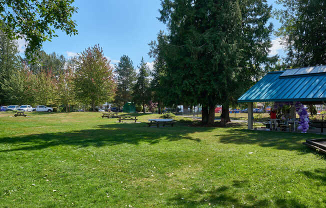 Green space at Martha Lake Park