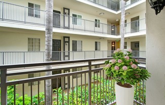 a building with a balcony and a potted plant