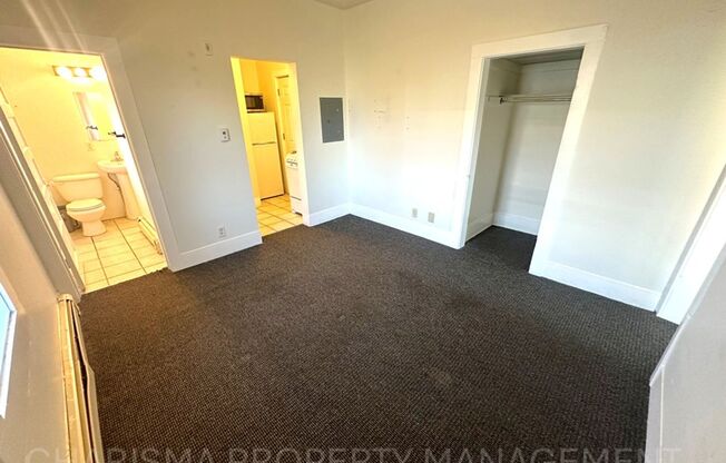 Charming 1-Bedroom Apartment in Sought-After Downtown Location; Beautiful & More Affordable Than You Ever Imagined!