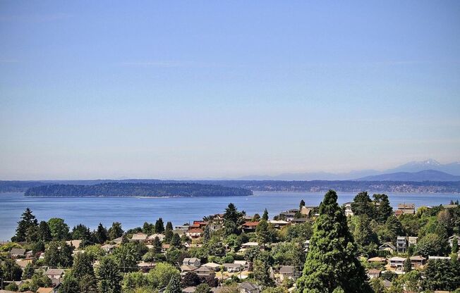 Studio, 1 bath, 235 sqft, $1,042, Unit 203