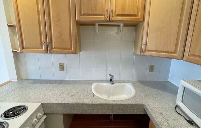 Studio, 1 bath, 350 sqft, $1,300, Unit 9