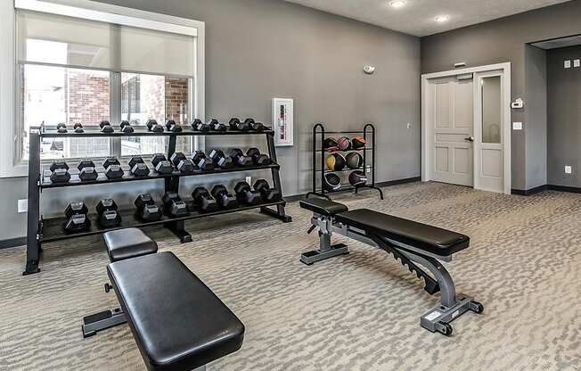 Fitness Center at The Apartments at Lux 96 in Papillion, NE