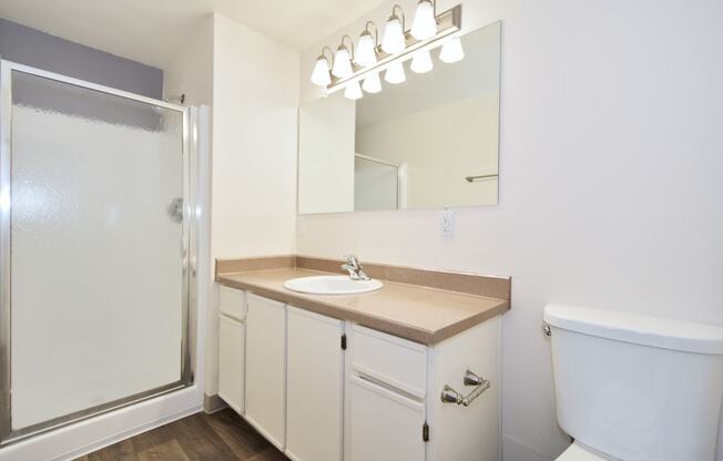 a bathroom with a toilet sink mirror and shower