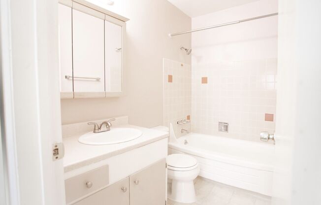 1 bed, 1 bath, $1,695, Unit 305